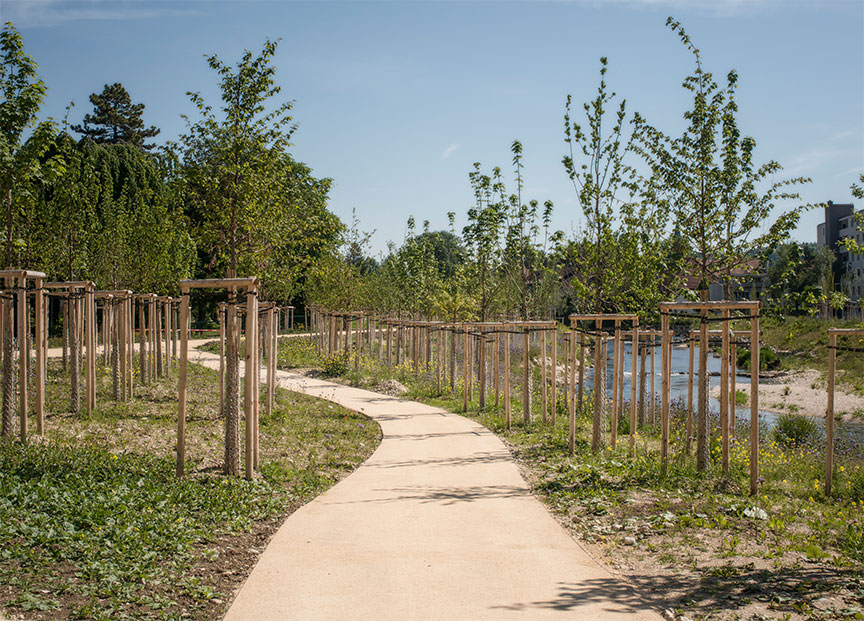 Schüssinsel in Biel. Goldener Hase für Fontana Landschaftsarchitekten