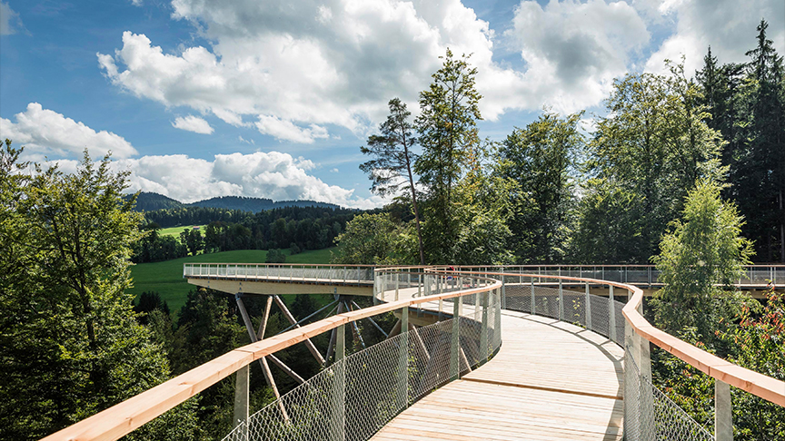 Der Baumwipfelpfad Neckertal ist eine schweizweit einzigartige Holzkonstruktion.